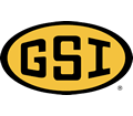 GSI